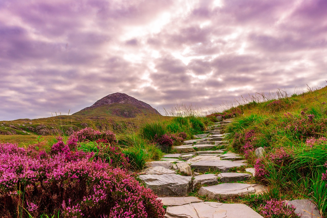 A stone path winds through purple heather on a Connemara hillside, with a mountain peak rising under a dramatic sky